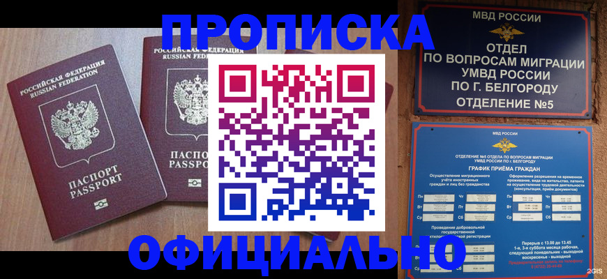найти адрес прописки в Навашино